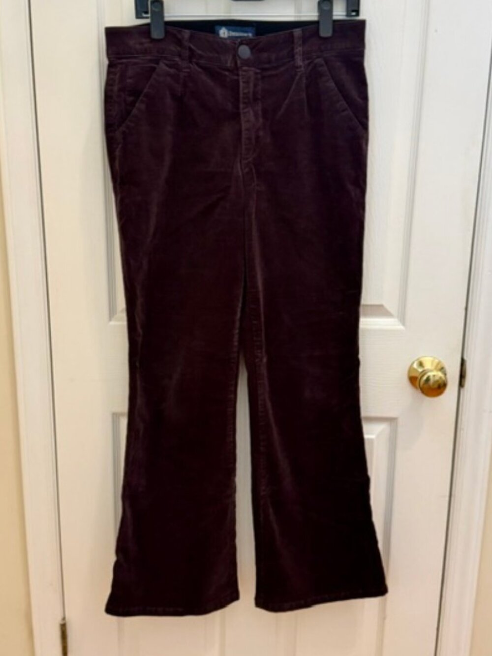 Democracy Absolution Dark Plum Corduroy Pants, Size 12